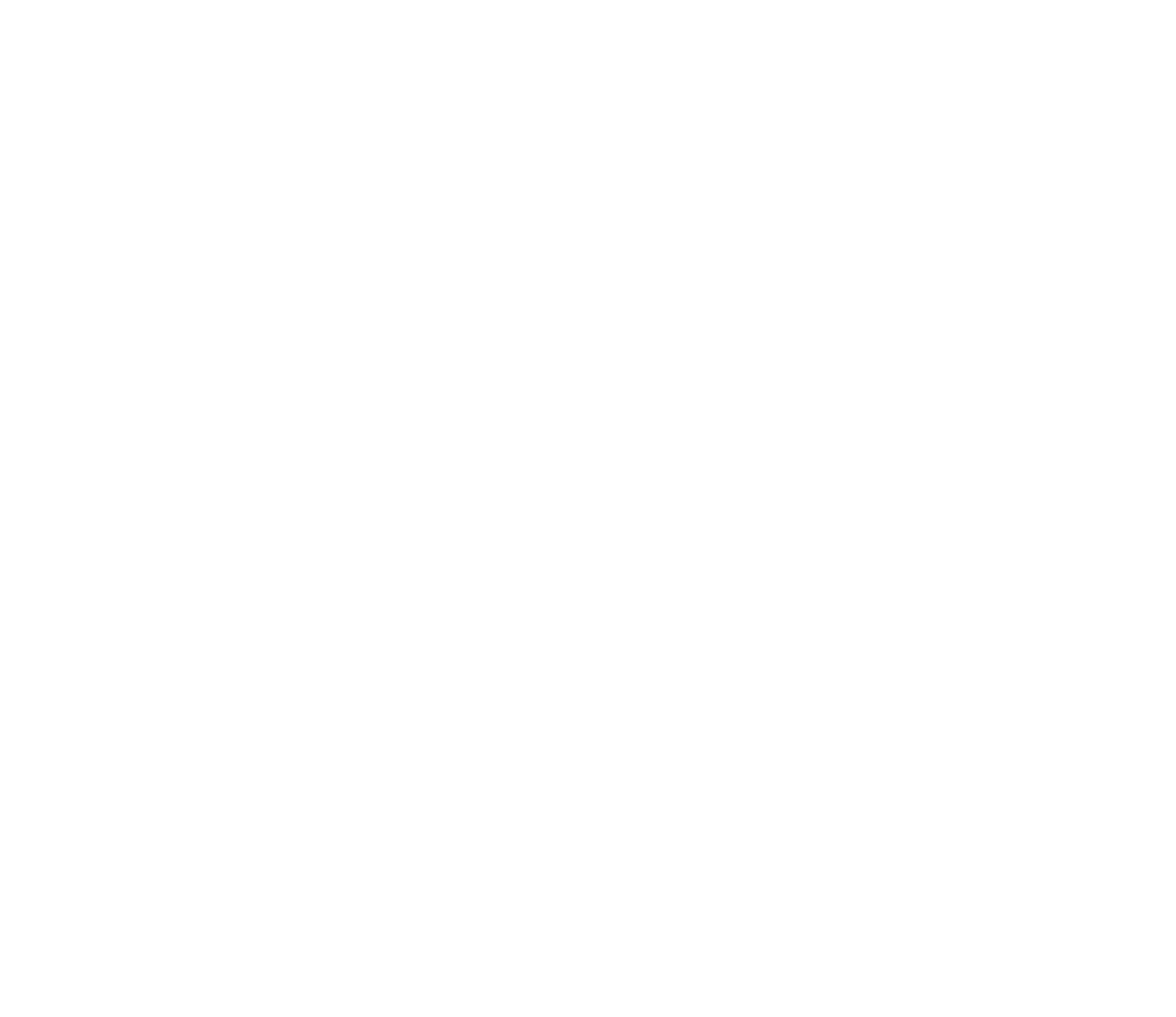 BELA Logo White
