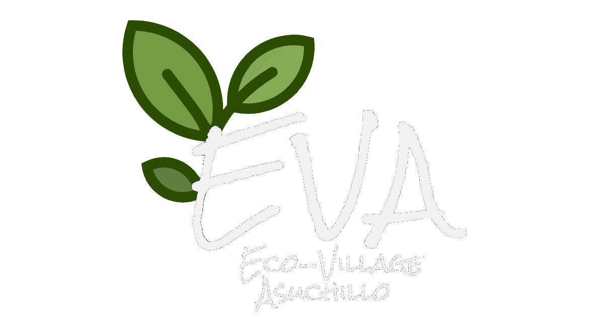 EVA Logo_white_Transparent